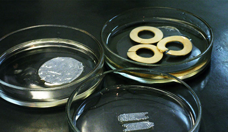 тканевый банк